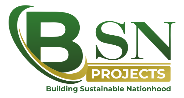 BSN Foundation Logo