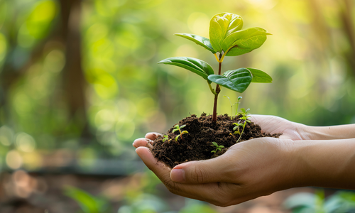 Environmental Stewardship